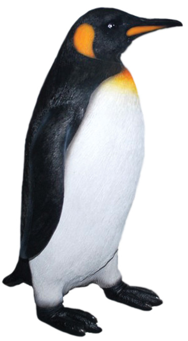 FE102 Penguin